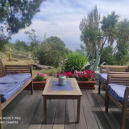 Villa Athos Сарті Екстер'єр фото