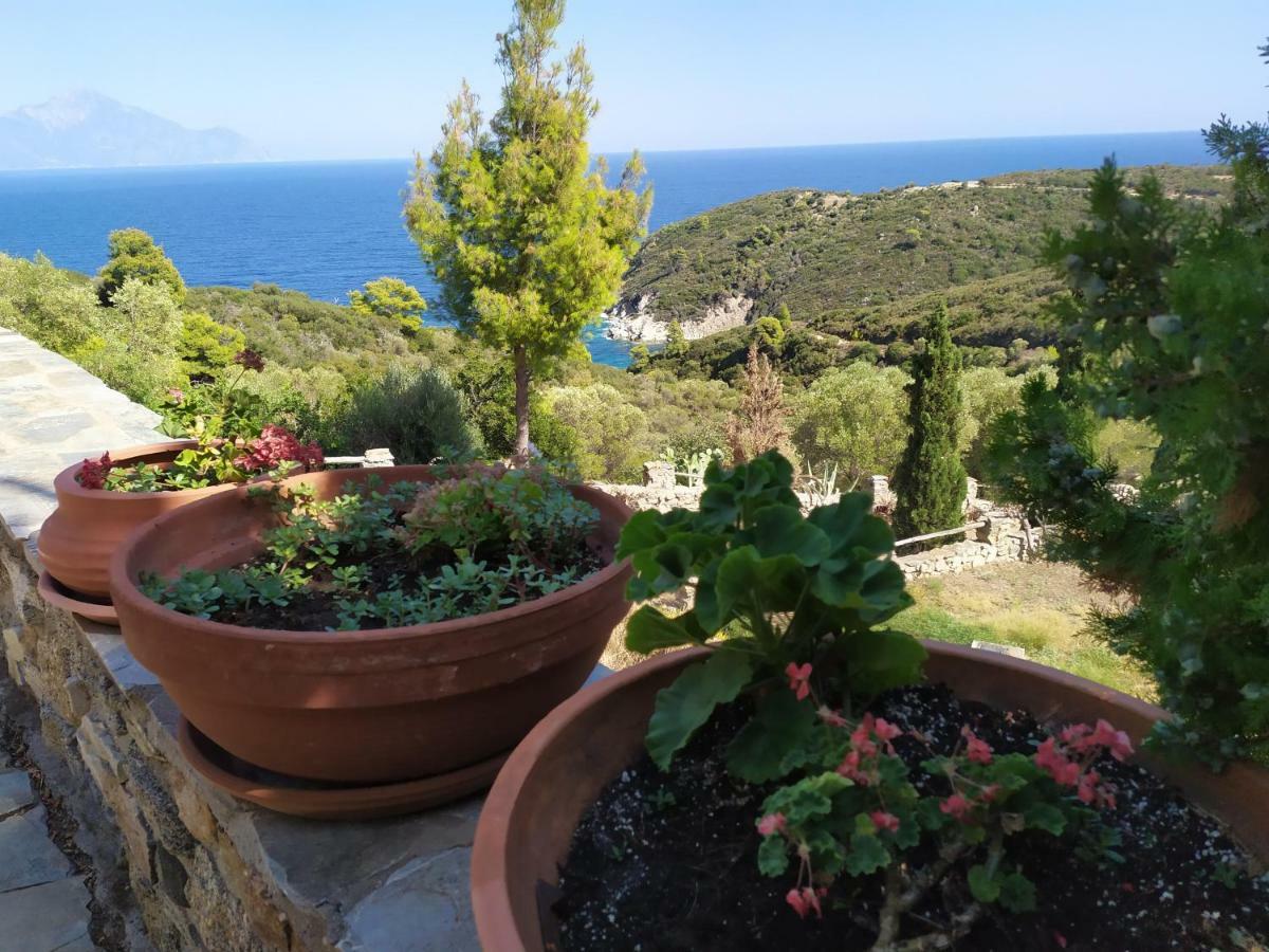Villa Athos Сарті Екстер'єр фото